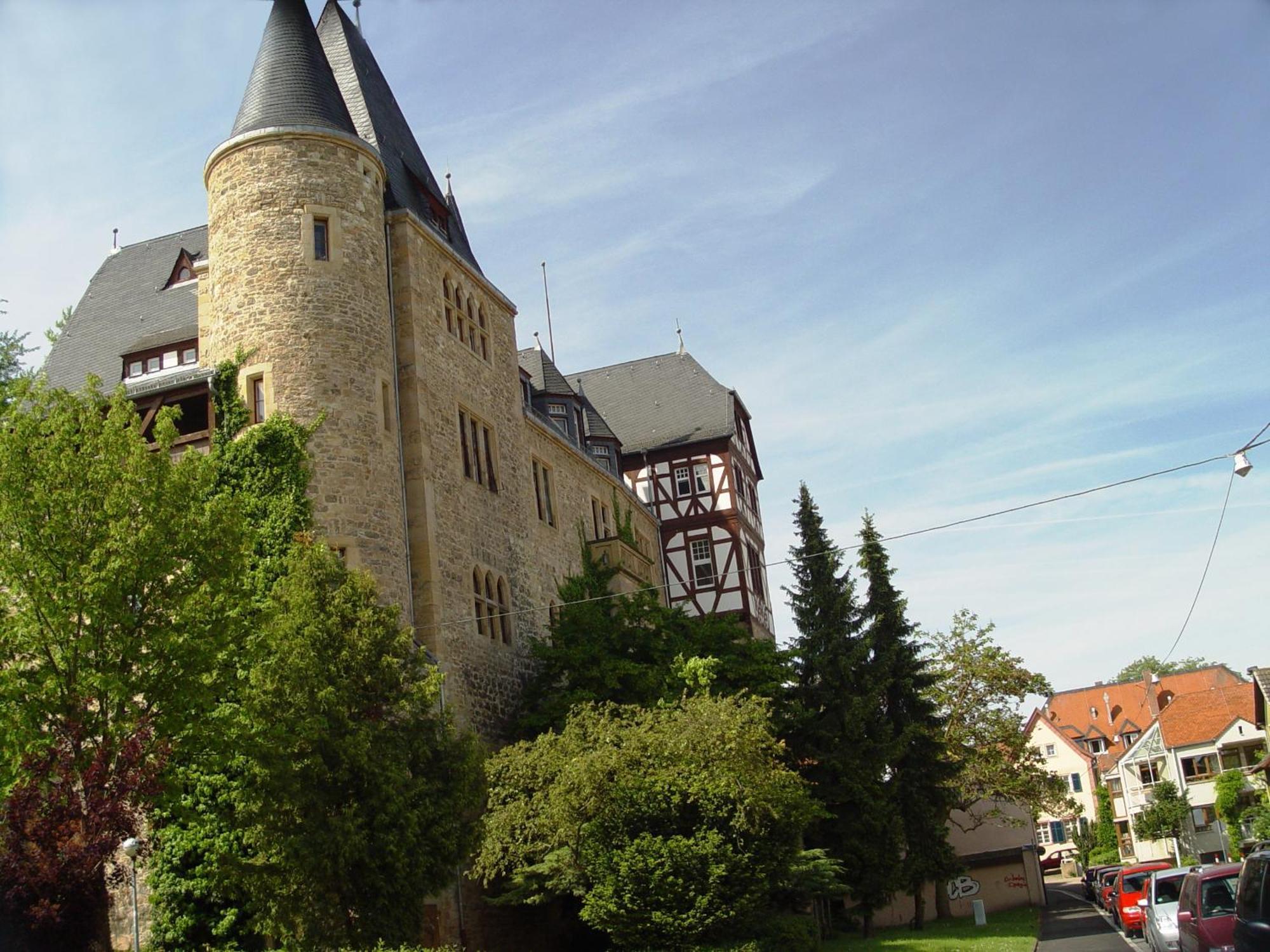 2 Zimmer Wohnung, Kueche, Bad, Balkon, Netflix Alzey Exterior photo